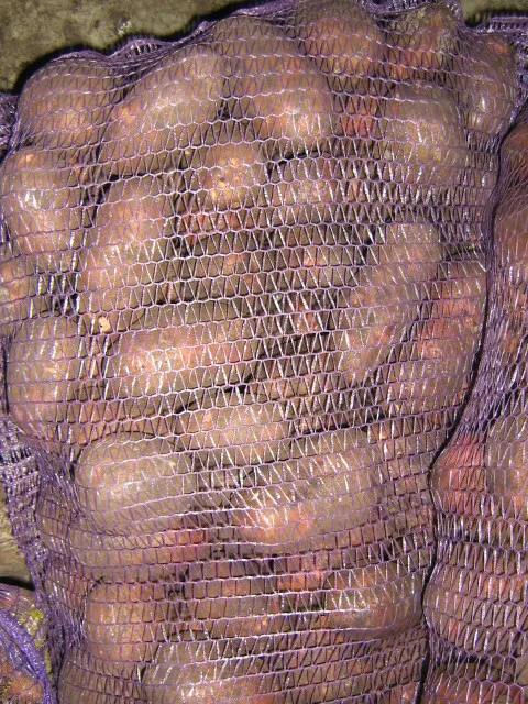 картофель продовольственный в Кургане
