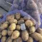 картофель сорт гала, розара - 6р. в Кургане и Курганской области 4